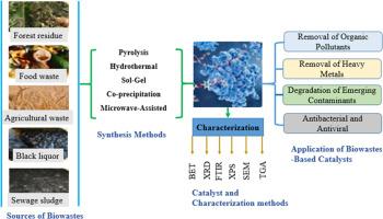 Biowastes as sustainable catalysts for water treatment: A comprehensive overview