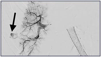 Abstract Image