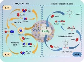 Simultaneous removal of NOx and toluene over 3V2O5/CeO2@TiO2: Reaction site isolation for bifunctional catalysis