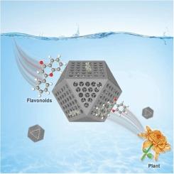 Three-dimensional ordered macroporous nitrogen-doped carbon for efficient adsorption of flavonoids from plant extraction