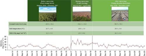 Impact of land conversion on environmental conditions and methane emissions from a tropical peatland