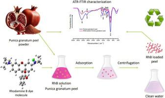 Eco-friendly adsorption of Rhodamine B dye using Punica granatum peel from an aqueous medium