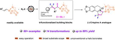 B(MIDA)-directed site-selective intermolecular halofluoroalkylation of alkenes: synthesis of diversely functionalized building blocks†