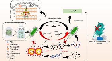 A microbial-driven persulfate activating-cycling system for in-depth oxytetracycline degradation and bacterial antibiotic resistance control