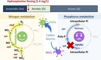 Abstract Image