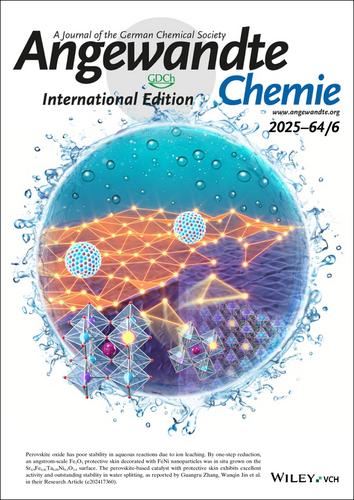 Inside Cover: An Angstrom-Scale Protective Skin Grown In Situ on Perovskite Oxide to Enhance Stability in Water (Angew. Chem. Int. Ed. 6/2025)