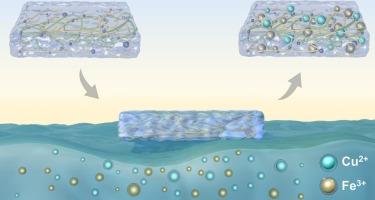 A self-floating hydrogel for heavy metal recovery from water