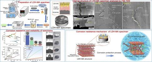 FIB-TEM characterizations of a novel corrosion-resistant and hydrophobic LDH–MA composite coating on WE43 alloys
