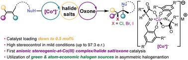 High-performance anionic stereogenic-at-cobalt(iii) complex/halide salts/oxone catalytic system for enantioselective halocyclization of olefins†