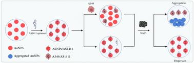 Nanoparticle-aptamer based cytosensing for the detection of human non-small cell lung cancer cells†