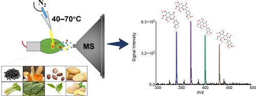 In Situ Analysis of Plant Tissue Using Arc iKnife Ionization Mass Spectrometry