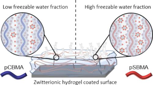 Effect of Hydration States on the Anti-Icing/Frosting Performance of Zwitterionic Hydrogel-Coated Surfaces