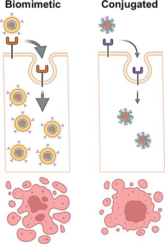 Long-Term Cell-Membrane-Coated Ultrabright Nanospheres for Targeted Cancer Cell Imaging and Hydrophobic Drug Delivery