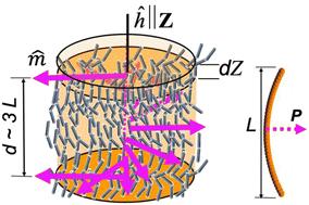 Entropy stabilized form chirality in curved rod nematics: structure and symmetries†