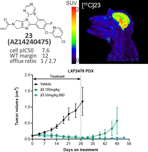 Highly Optimized CNS Penetrant Inhibitors of EGFR Exon20 Insertion Mutations