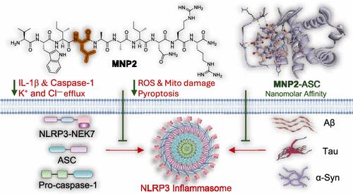 Strategic Mutations in Designer Native Peptides Combat NLRP3 Inflammasome Activation in Neurodegenerative Disorders