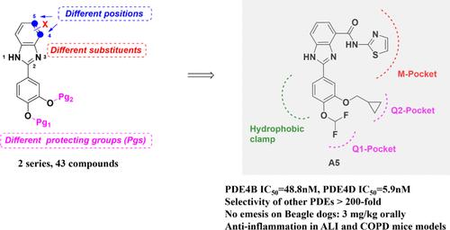 Design, Synthesis, and Evaluation of Selective PDE4 Inhibitors for the Therapy of Pulmonary Injury