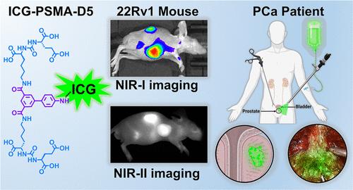 Synthesis, Preclinical Evaluation, and First-in-Human Assessment of ICG-PSMA-D5: A PSMA-Targeted Probe for Fluorescence-Guided Surgery of Prostate Cancer