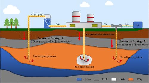 Strategies for Preventing Salt Precipitation and Blockage Risks in CO2 Injection Wells: Pore-Scale Experimental Insights