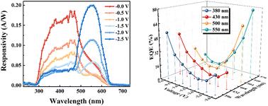A dual-channel detection mode ZnO/organic polymer/Cu2O heterojunction dual-band photodetector