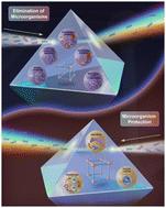 Exploring the multifaceted roles of metal–organic frameworks in ecosystem regulation