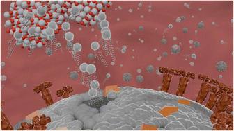 Molecular mechanisms behind the anti corona virus activity of small metal oxide nanoparticles†