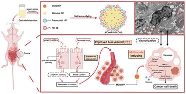 Oral delivery of MOMIPP lipid nanoparticles for methuosis-induced cancer chemotherapy†