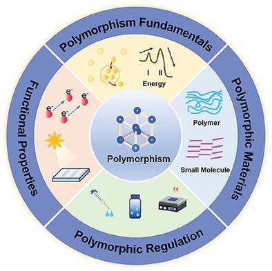 Recent Advances in Polymorphism of Organic Solar Cells