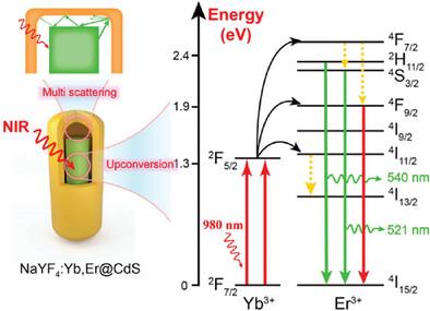 Internal Nanocavity Regulation of Embedded Rare Earth Up-Conversion Nanoparticles for H2O2 Production Operable at Up to 780 nm