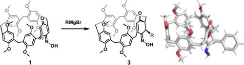 Ortho-Functionalization of Pillar[4]arene[1]benzoquinone Monoxime via Selective 1,4-Addition of Grignard Reagents