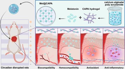 Melatonin-Loaded Hydrogel Modulates Circadian Rhythms and Alleviates Oxidative Stress and Inflammation to Promote Wound Healing