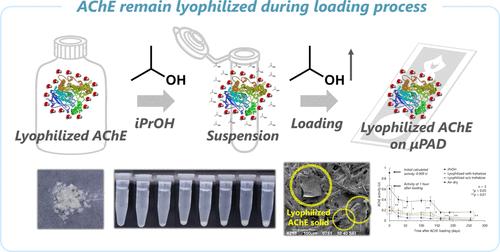 2-Propanol Suspension Method to Increase Acetylcholinesterase and Flow Stability on μPADs