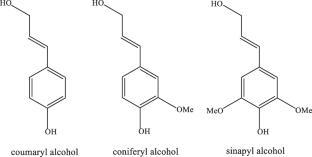 Augmentation in corrosion inhibition efficiency in gram-negative bacterial strains influenced adsorption of Saccharum officinarum bagasse extract at the interphase of copper metal and a mild corrosive environment
