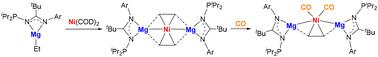 Synthesis and characterization of heterotrimetallic Mg–Ni–Mg complexes with amidinato ligands†