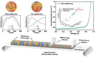 19.46%-Efficiency all-polymer organic solar cells with excellent outdoor operating stability enabled by active layer reconstruction†