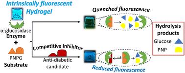 Intrinsic fluorescence hydrogels for ON/OFF screening of antidiabetic drugs: assessing α-glucosidase inhibition by acarbose†