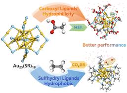 Ligand-induced changes in the electrocatalytic activity of atomically precise Au25 nanoclusters†