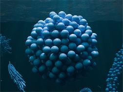 Abstract Image