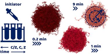 Fine-tuning the architecture of microgels by varying the initiator addition time†