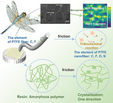 Bioinspired Antiwear Poly(urea-imide) Composites: Influence of Tribology on Polymer Crystal Structure