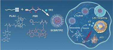 Hypoxia-responsive bilirubin supramolecular nanoprodrugs for targeted photothermal-chemotherapy†