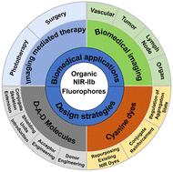 Design strategies and biomedical applications of organic NIR-IIb fluorophores