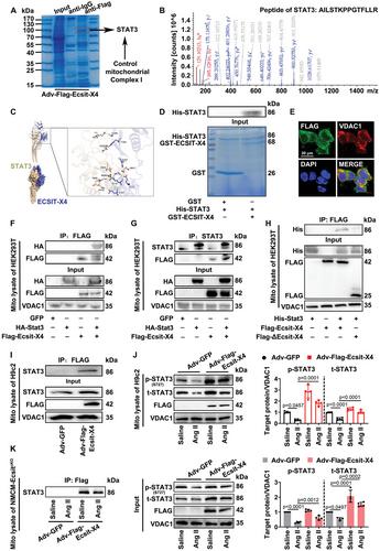 ECSIT-X4 is Required for Preventing Pressure Overload-Induced Cardiac Hypertrophy via Regulating Mitochondrial STAT3