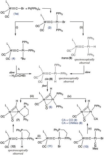 The Interplay of Methylidyne and Carbido Species: Modeling a Fundamental Step in the Fischer–Tropsch Synthesis