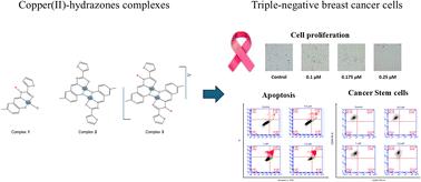 Antiproliferative activity of a series of copper(ii) complexes derived from a furan-containing N-acylhydrazone: monomers, dimers, charge status, and cell mechanistic studies on triple negative breast cancer cells†