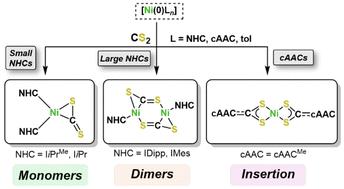 On the reactivity of complexes [Ni(NHC)2] with CS2†