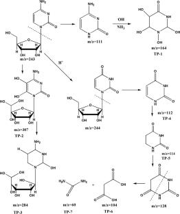 Valorization of nano-scrap carbon iron filings as heterogeneous electro-Fenton catalyst for the removal of anticancer drug: insight into degradation mechanism