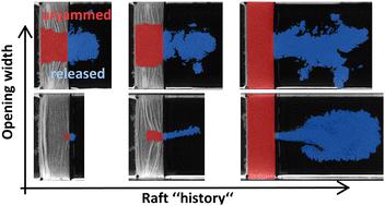 Unjamming of particle–laden interfaces: effects of geometry and history†