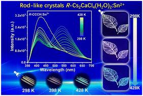 Dual-band white light emission and temperature-dependent luminescence of Sn2+ in the metastable structure of Cs2CaCl4(H2O)2†
