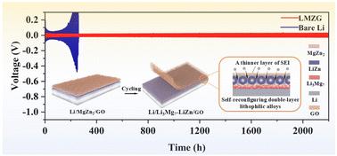 Synergistic action of spatially self-reconfiguring bilayer lithiophilic alloys and inorganic passivation layers for enhancing Li metal anode performance†